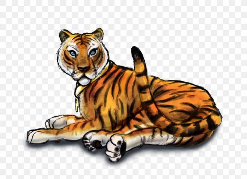 Tiger Whiskers Lion Cat Spokane County Regional Animal Protection Service, PNG, 900x653px, Tiger, Animal, Big Cats, Carnivoran, Cat Download Free