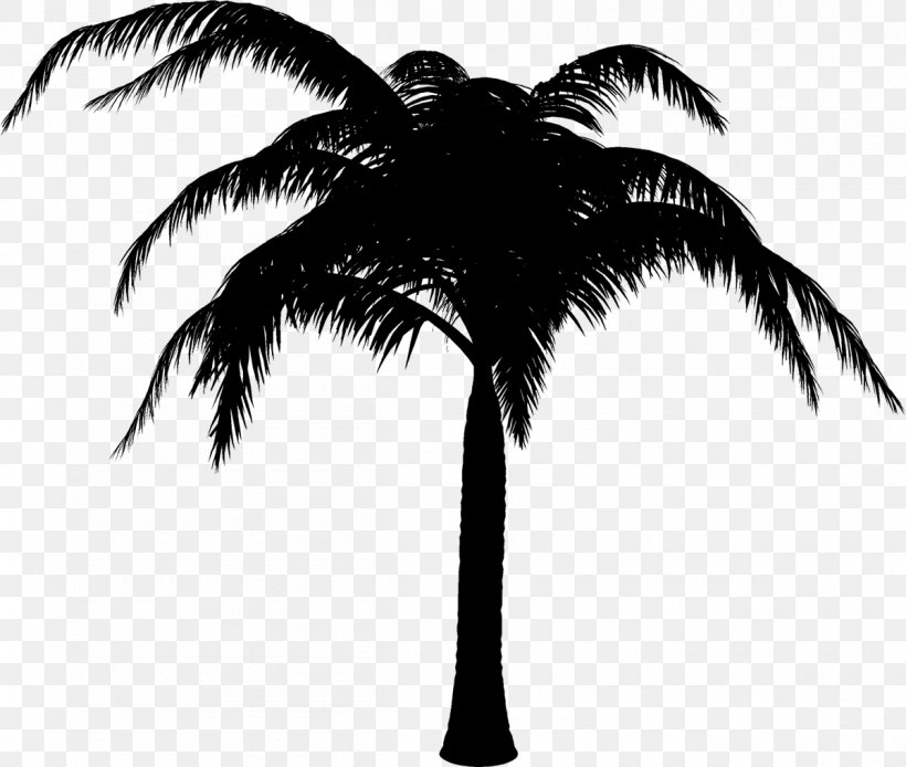 Palm Trees Black & White, PNG, 1200x1016px, Palm Trees, Arecales, Attalea Speciosa, Black White M, Blackandwhite Download Free
