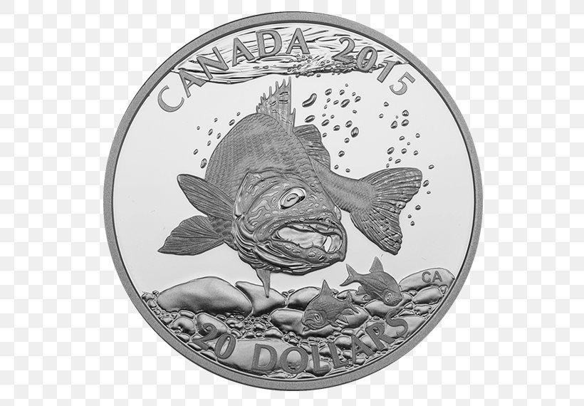 Silver Coin Canada Silver Coin Metal, PNG, 570x570px, Coin, Atlantic Salmon, Black And White, Canada, Coin Orientation Download Free