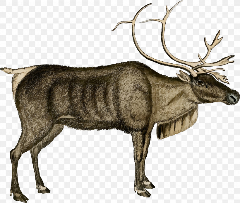 Christmas Day, PNG, 2296x1938px, Watercolor, Antler, Christmas Day, Elk, Exhibition Download Free