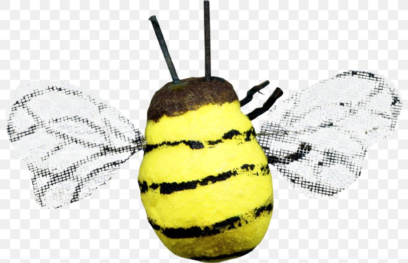 Honey Bee Insect Download, PNG, 800x528px, Honey Bee, Apitoxin, Arthropod, Bee, Cartoon Download Free