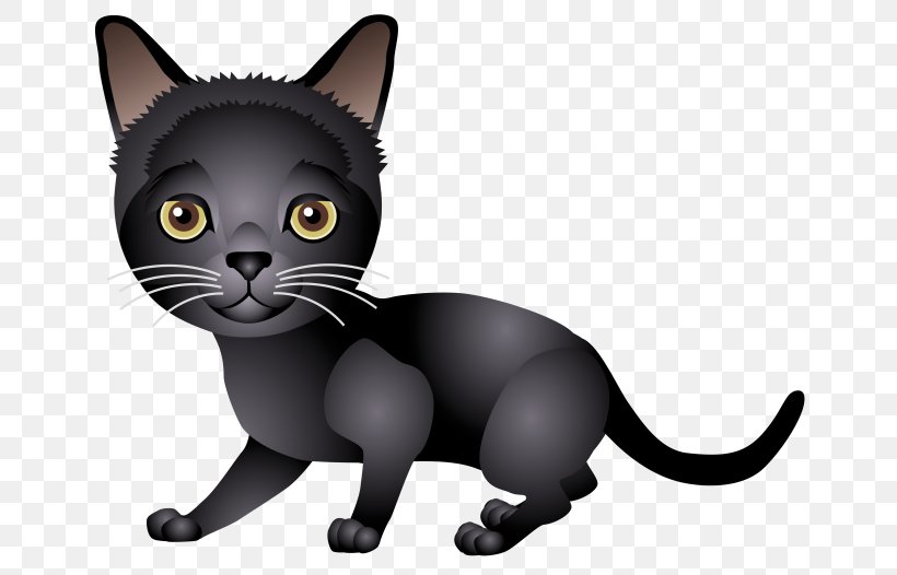 Kitten Bombay Cat Korat Black Cat American Wirehair, PNG, 670x526px, Kitten, American Wirehair, Asian, Black, Black Cat Download Free