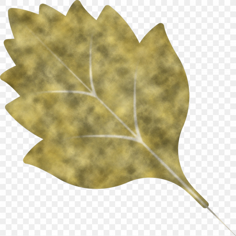 Autumn Leaf Autumn Color, PNG, 2993x3000px, Autumn Leaf, Autumn Color, Biology, Leaf, Plant Structure Download Free