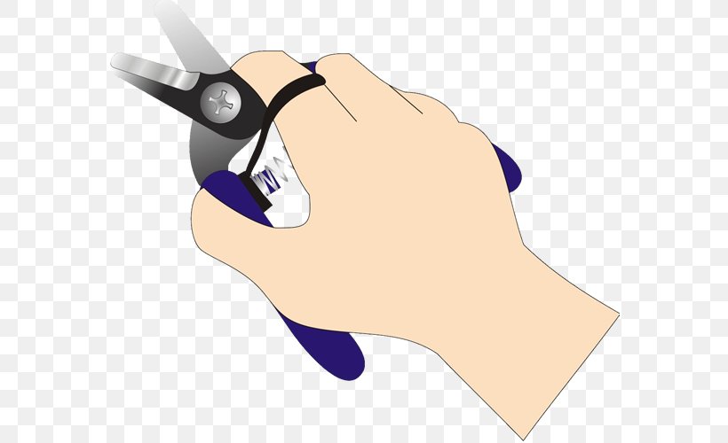 Grape Drawing Scissors Harvest Paper, PNG, 576x500px, Grape, Arm, Cartoon, Cosmetologist, Drawing Download Free