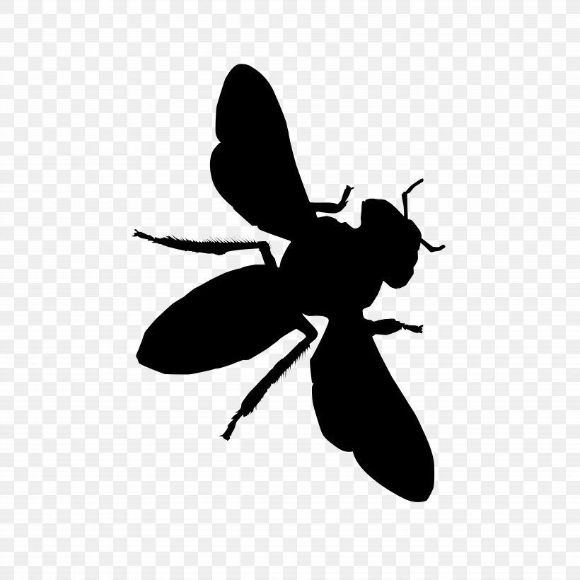 Insect Honey Bee Pollinator Black And White, PNG, 7779x7779px, Insect, Animal, Arthropod, Bee, Black And White Download Free