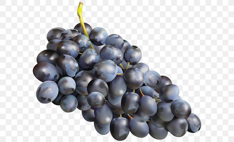 Muscadine Grape Zante Currant Muscat Must, PNG, 600x500px, Grape, Amazon Grape, Bilberry, Blueberry, Damson Download Free