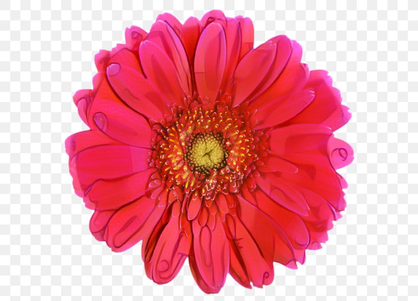 Pink Flowers Background, PNG, 600x590px, Transvaal Daisy, Artificial Flower, Aster, Asterales, Barberton Daisy Download Free