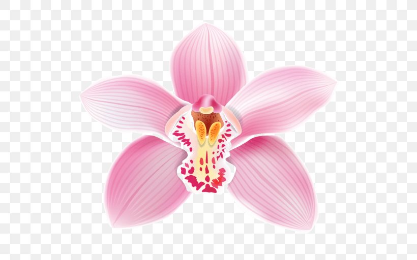 Cattleya Orchids Clip Art Image, PNG, 512x512px, Orchids, Cattleya, Cattleya Orchids, Dendrobium, Flower Download Free