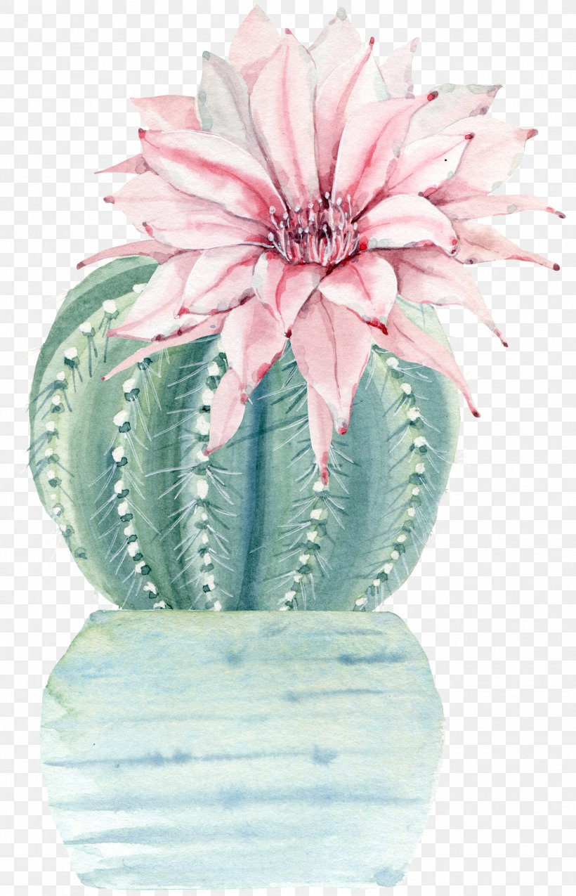 Water Color Flower Plant Cactus, PNG, 2474x3847px, Cactus Flowers, Cactaceae, Drawing, Flower, Flowering Plant Download Free