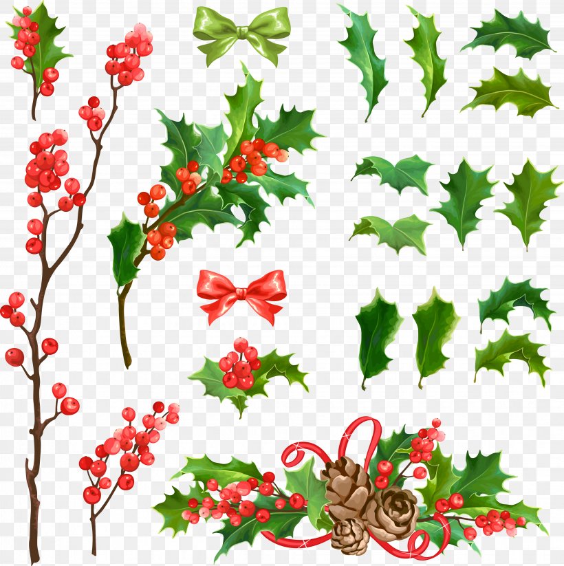 Common Holly Christmas Decoration Euclidean Vector, PNG, 3877x3892px, Common Holly, Aquifoliaceae, Aquifoliales, Border, Branch Download Free