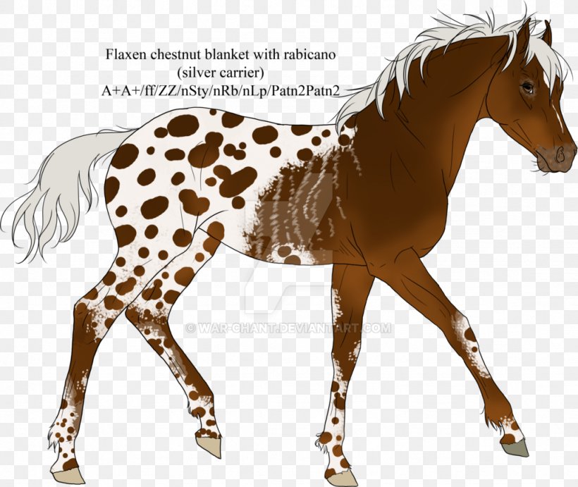 Foal Stallion Mare Mustang Colt, PNG, 1024x863px, Foal, Animal, Animal Figure, Bridle, Colt Download Free