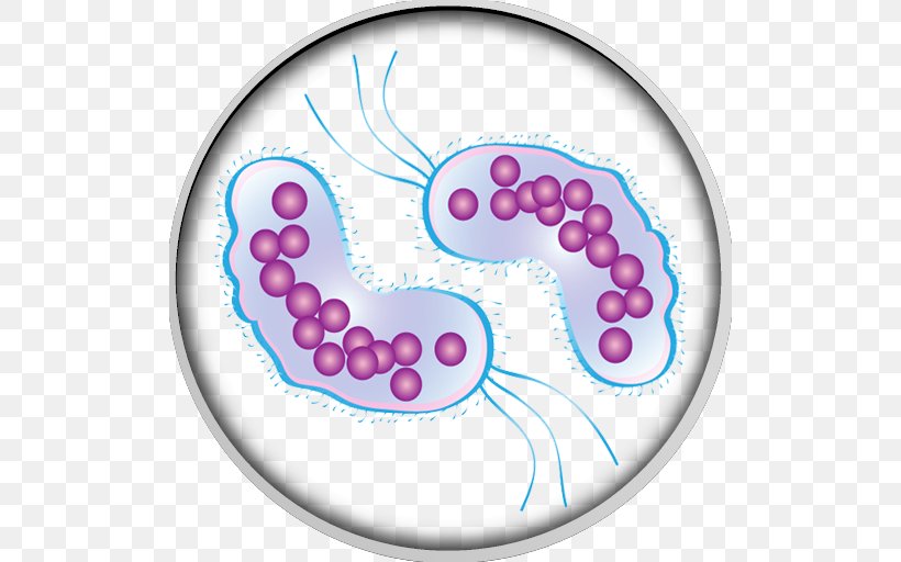 Microorganism Bacteria Infection Virus Clip Art, PNG, 512x512px, Microorganism, Ache, Area, Bacillus Cereus, Bacteria Download Free