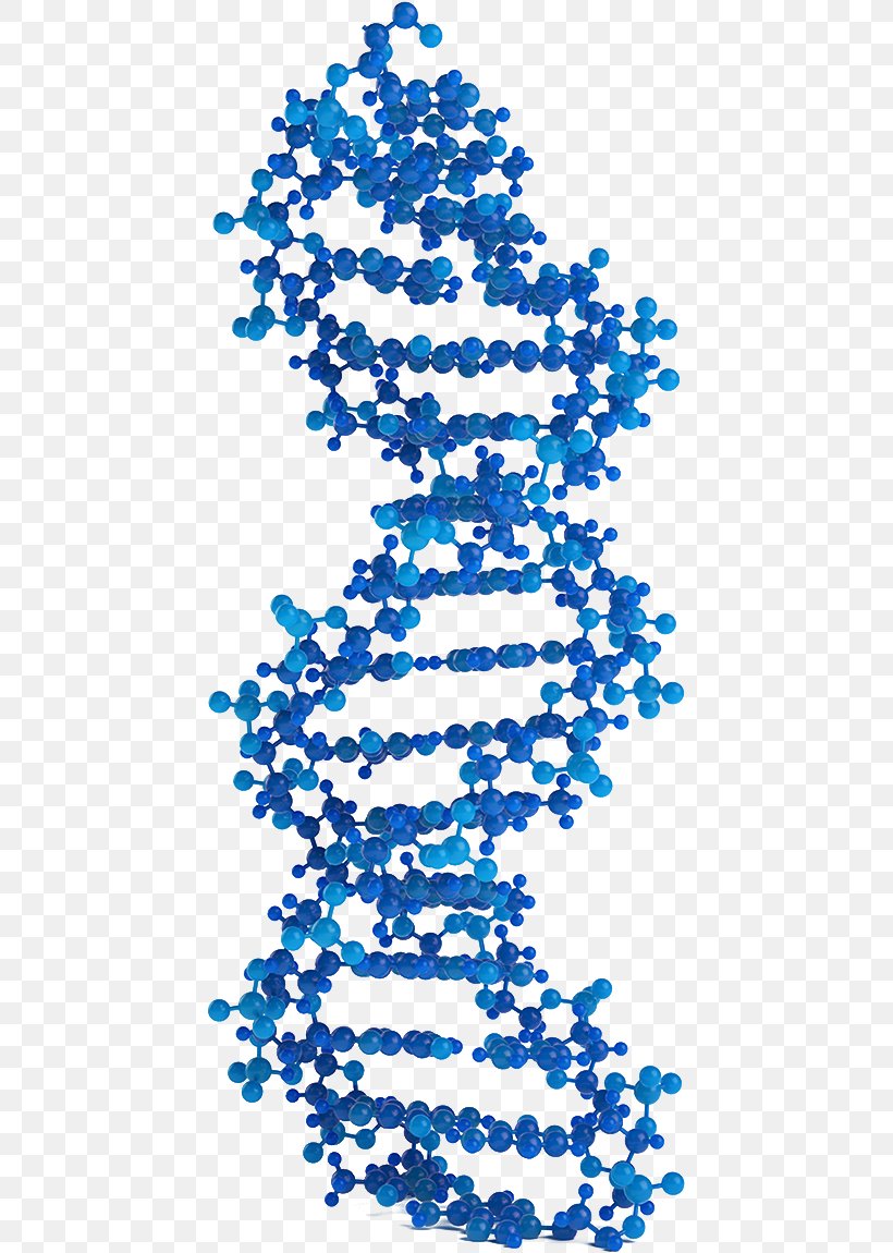 Molecular Models Of DNA Genetics DNA Virus Nucleic Acid Double Helix, PNG, 440x1150px, Dna, Area, Black And White, Blue, Chipsequencing Download Free
