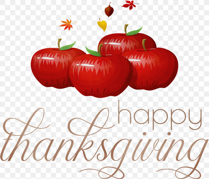 Tomato, PNG, 3000x2577px, Happy Thanksgiving, Fruit, Local Food, Meter, Natural Foods Download Free