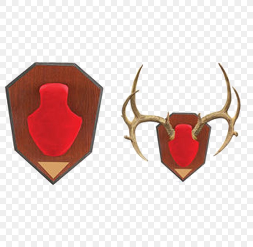 Antler Deer Elk Antelope Skull, PNG, 800x800px, Antler, Antelope, Body Jewelry, Color, Deer Download Free