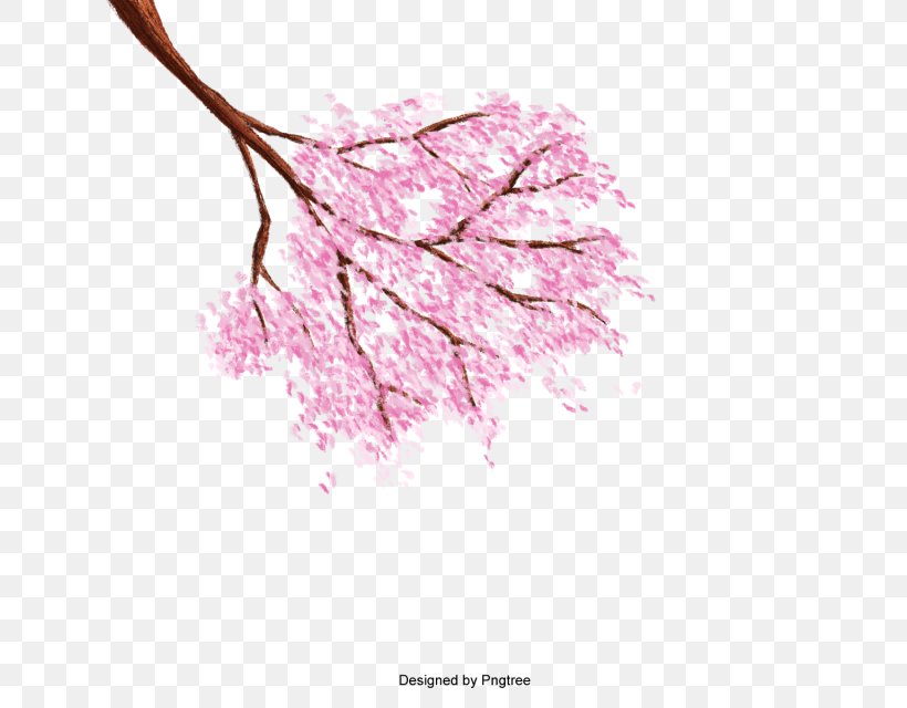 Cherry Blossom Resource, PNG, 640x640px, Cherry Blossom, Blossom, Cerasus, Flower, Petal Download Free