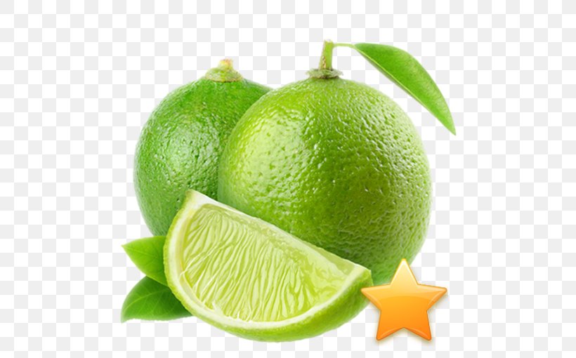 Key Lime Lemon Fruit Vegetable, PNG, 510x510px, Lime, Bitter Orange, Business, Citric Acid, Citron Download Free