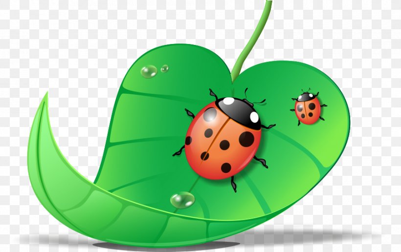 Ladybird Beetle CorelDRAW, PNG, 900x567px, Ladybird Beetle, Beetle, Box, Corel, Coreldraw Download Free