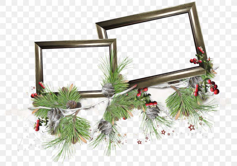 Picture Frame, PNG, 1280x898px, Plant, Branch, Conifer, Fir, Holly Download Free