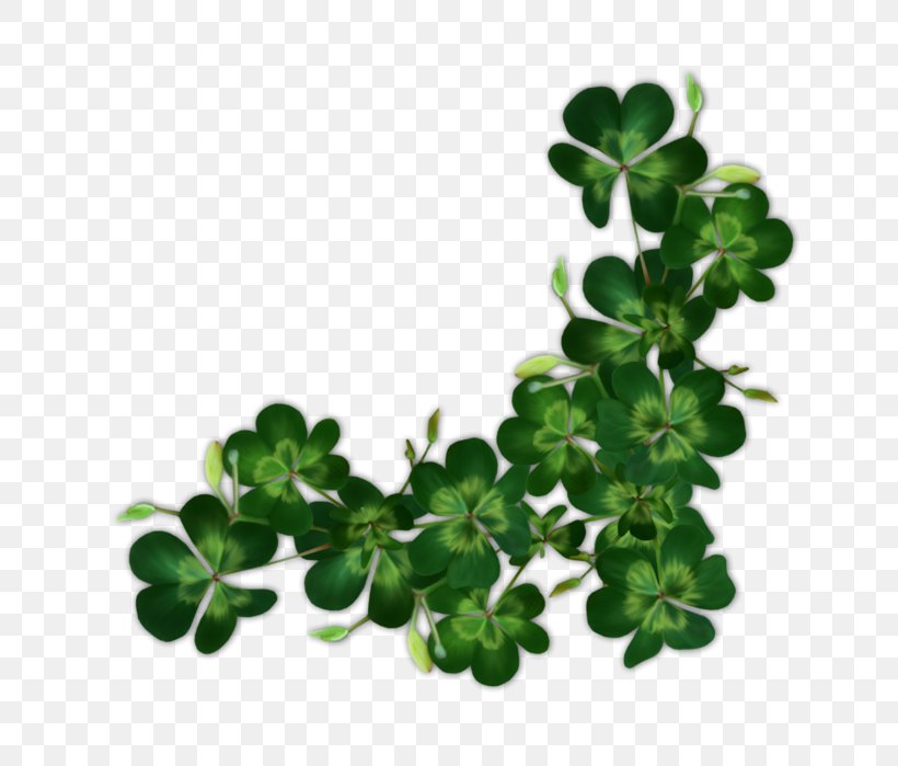 Saint Patrick's Day Shamrock Ireland Irish People, PNG, 689x699px, Patrick, Clover, Fourleaf Clover, Herb, Holiday Download Free