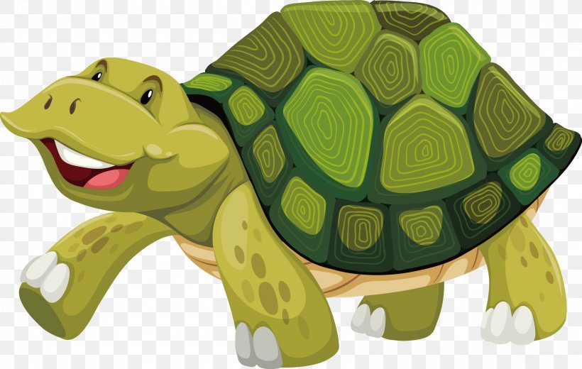 Turtle Shell Stock Photography Illustration, PNG, 2311x1468px, Turtle, Box Turtle, Fauna, Green Sea Turtle, Illustration Download Free