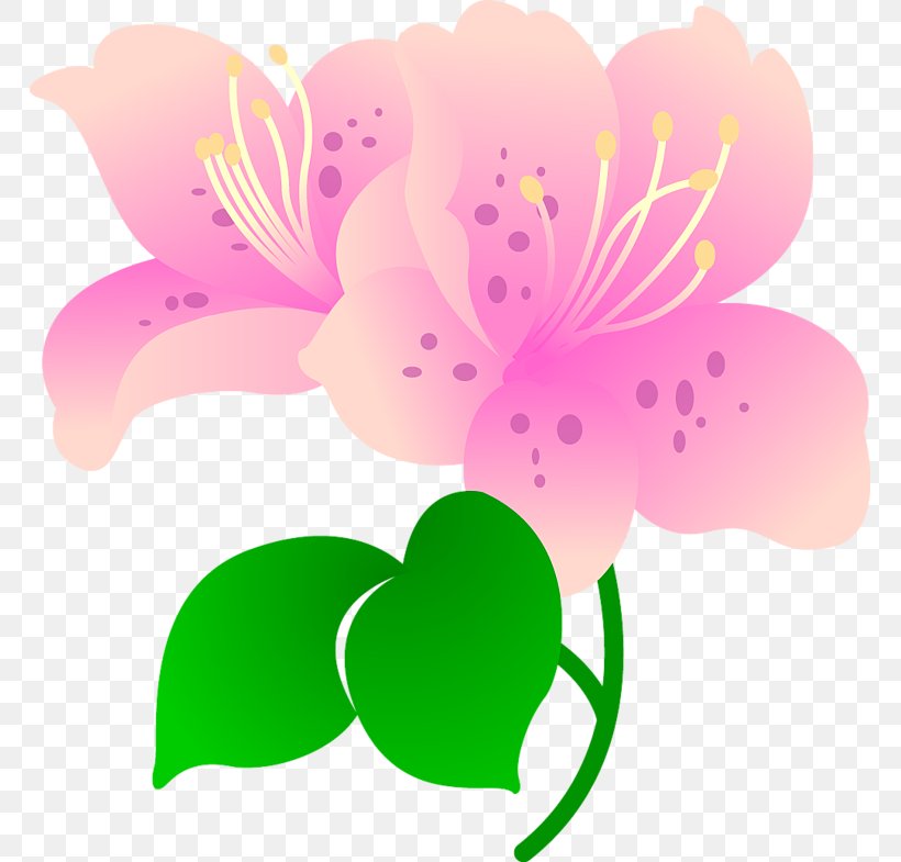 Flower, PNG, 765x785px, Flower, Blossom, Element, Flora, Flowering Plant Download Free