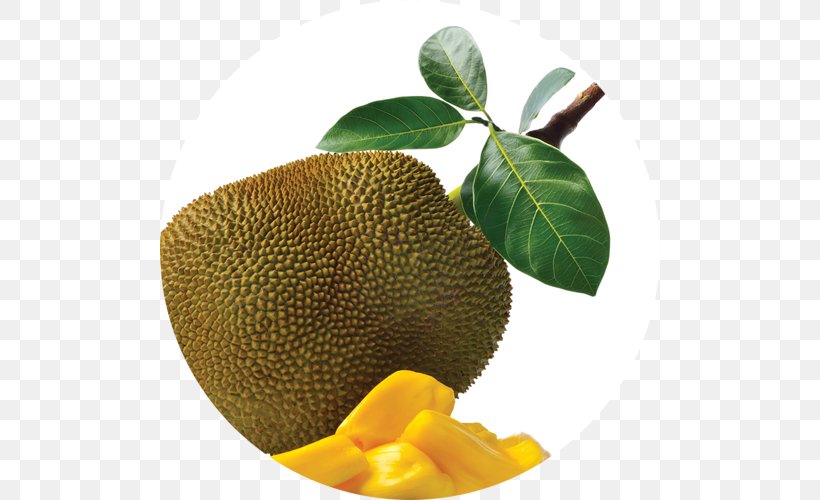 Jackfruit Fruit Tree Food Vegetable, PNG, 500x500px, Jackfruit, Citrus, Dried Fruit, Eating, Food Download Free