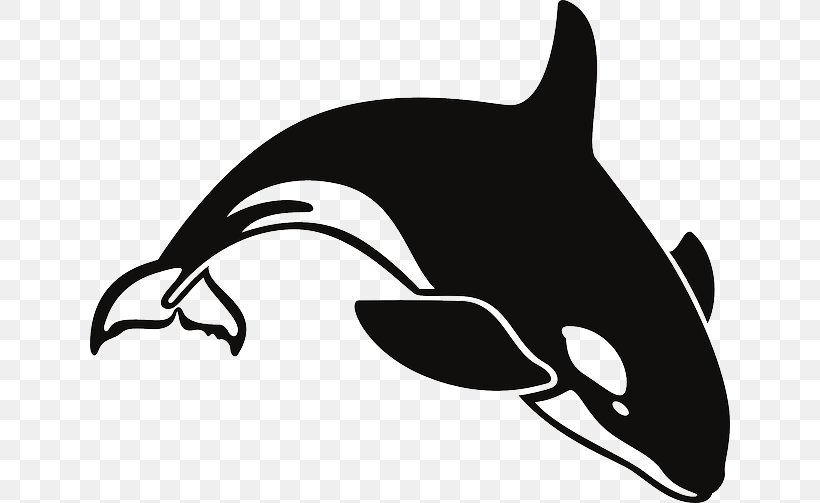 The Killer Whale Cetacea Clip Art, PNG, 640x503px, Killer Whale, Animal, Beak, Beluga Whale, Black Download Free