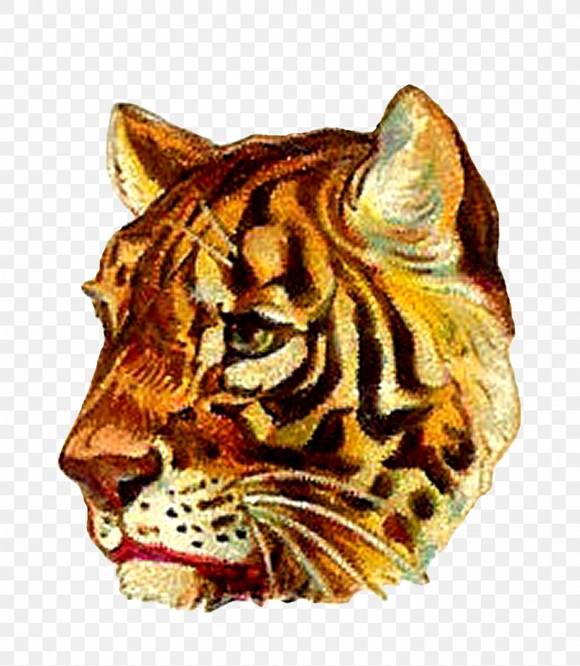 Tiger Lion Whiskers Felidae Cat, PNG, 1393x1600px, Tiger, Animal, Big Cat, Big Cats, Carnivora Download Free