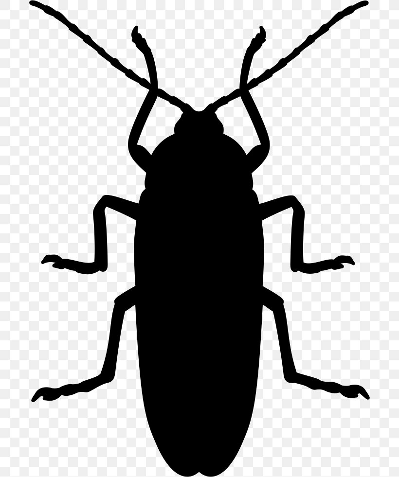 Cockroach Mosquito Beetle Silhouette Pest, PNG, 700x981px, Cockroach, Animal, Ant, Artwork, Beetle Download Free