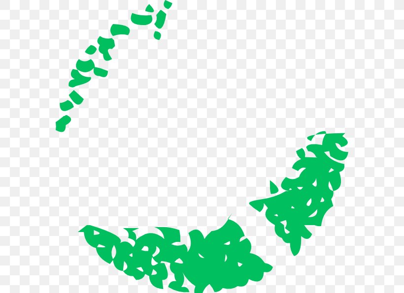 Leaf Plant Stem Point Clip Art, PNG, 594x596px, Leaf, Area, Artwork, Border, Flora Download Free