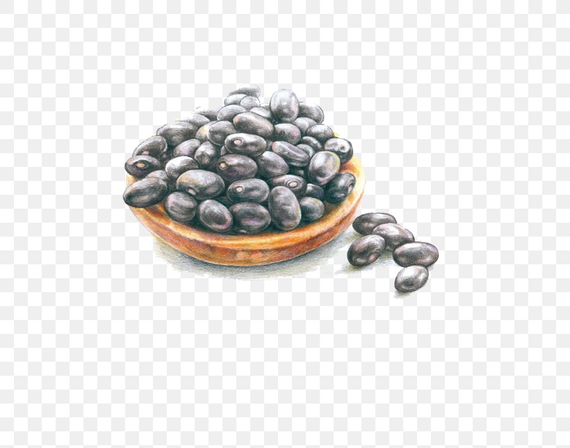 Blueberry Illustration, PNG, 580x644px, Blueberry, Bean, Berry, Black Turtle Bean, Color Download Free