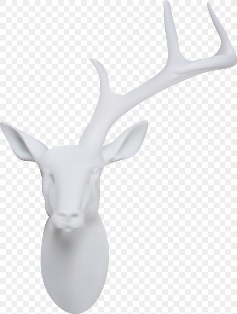 Deer Horn, PNG, 1203x1593px, Deer, Antler, Google Images, Horn, Material Download Free