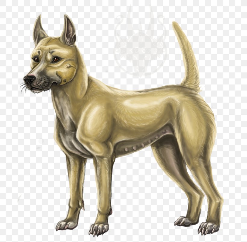 Faust VIII Dog Breed Shaman King, PNG, 704x802px, Faust Viii, Breed, Carnivoran, Character, Deviantart Download Free