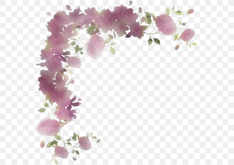 Flower Lilac Purple Violet Plant, PNG, 567x581px, Flower, Blossom, Branch, Cut Flowers, Dendrobium Download Free