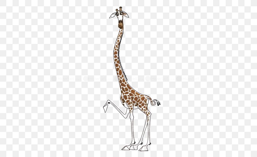 Giraffe Neck Terrestrial Animal Wildlife, PNG, 500x500px, Giraffe, Animal, Animal Figure, Fauna, Giraffidae Download Free