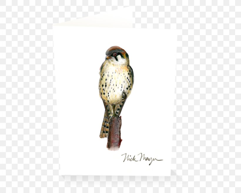 Owl Buzzard Hawk Fauna Beak, PNG, 1024x825px, Owl, Beak, Bird, Bird Of Prey, Buzzard Download Free