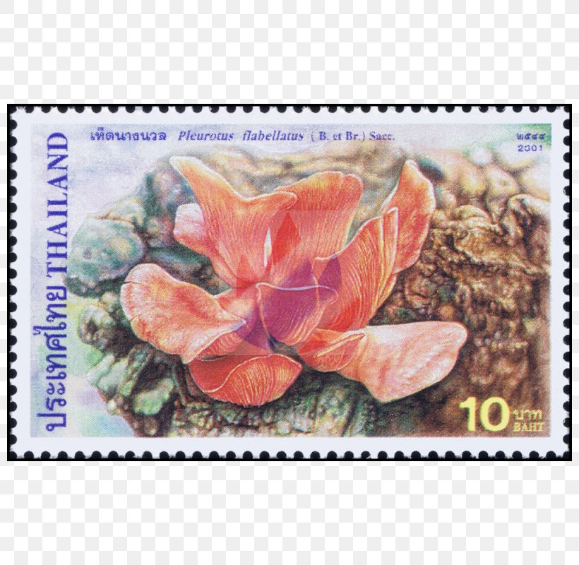 Postage Stamps Flowering Plant Mail, PNG, 800x800px, Postage Stamps, Flora, Flower, Flowering Plant, Mail Download Free