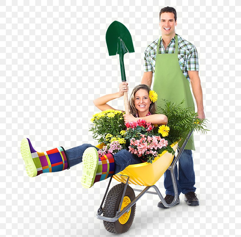 Wheelbarrow Flower Floristry Product, PNG, 697x807px, Wheelbarrow, Cart, Floristry, Flower, Fun Download Free