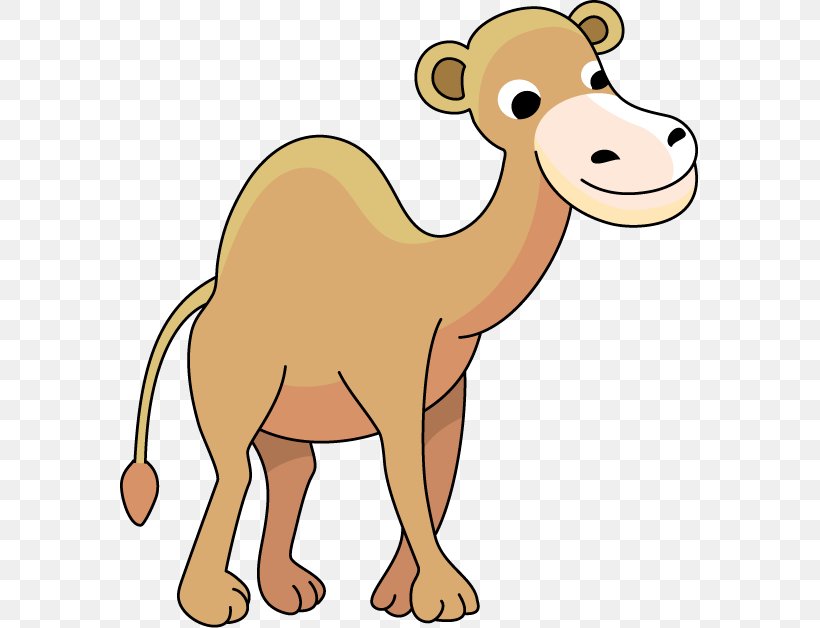 Bactrian Camel Clip Art, PNG, 579x628px, Bactrian Camel, Animal Figure, Arabian Camel, Beak, Camel Download Free