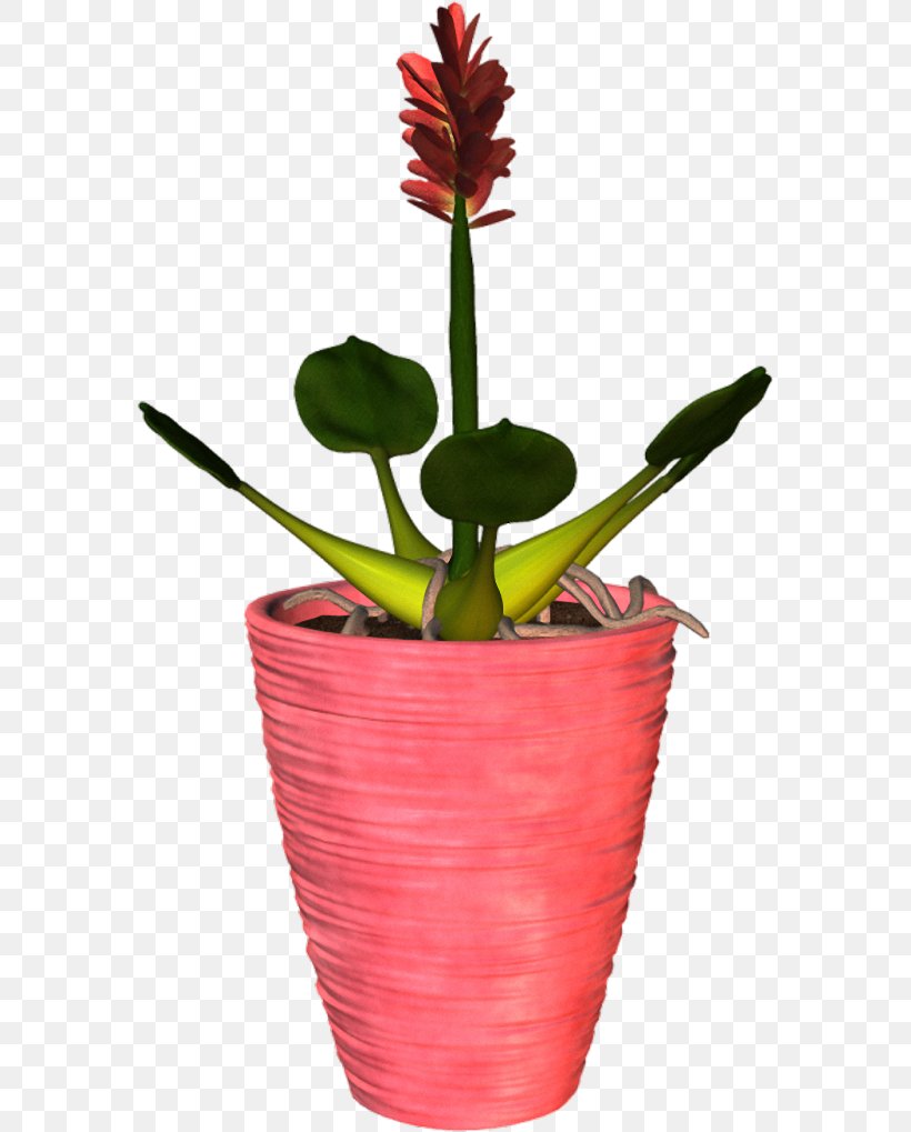 Flowerpot Plant, PNG, 574x1019px, Flower, Computer Network, Digital Image, Flowerpot, Frame Download Free