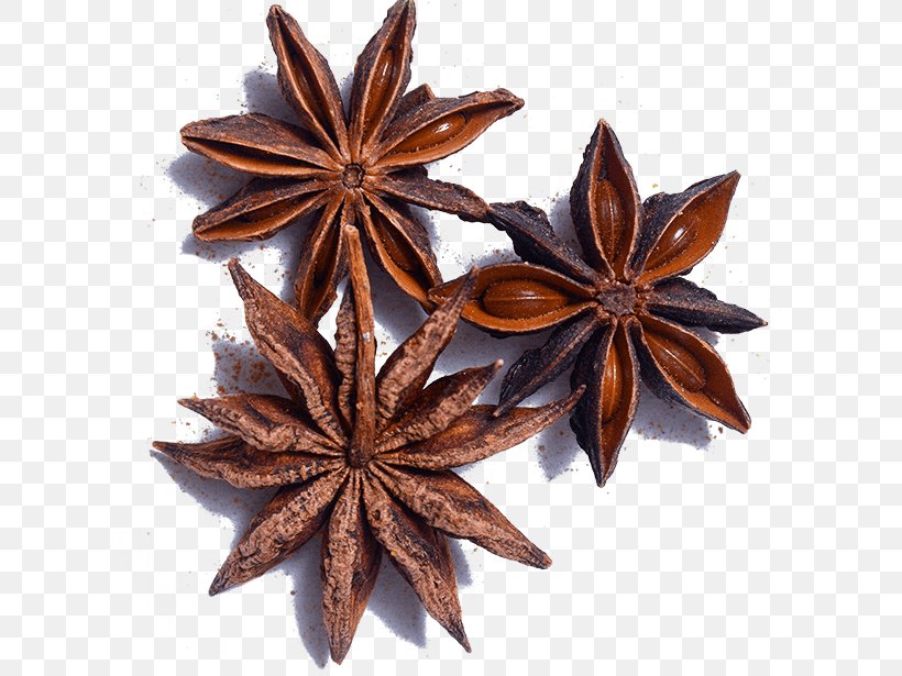 Star Anise Anise Plant Cinnamon Leaf, PNG, 615x615px, Star Anise, Anise, Cinnamon, Flower, Herb Download Free