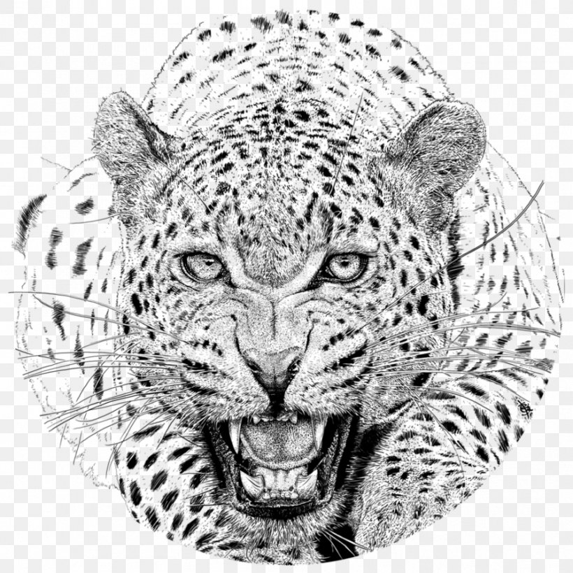 Yala National Park Cheetah Leopard IPhone Hotel Chandrika, PNG, 894x894px, Yala National Park, Big Cats, Black And White, Campsite, Carnivoran Download Free