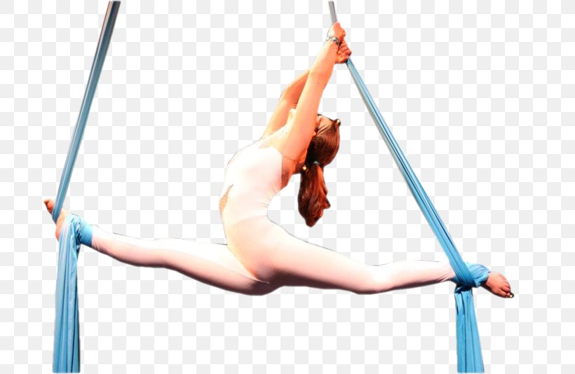 Acrobatics Rope Physical Fitness, PNG, 800x534px, Acrobatics, Arm, Joint, Jumping, Muscle Download Free