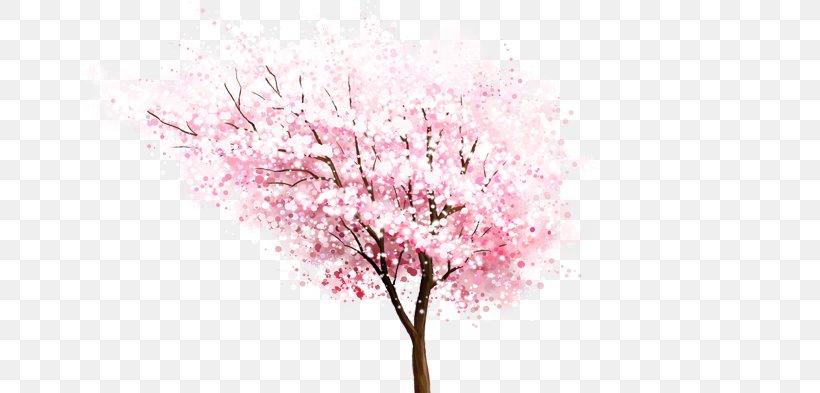 Cherry Blossom Download Computer File, PNG, 711x393px, Cherry Blossom, Blossom, Branch, Cherry, Floral Design Download Free