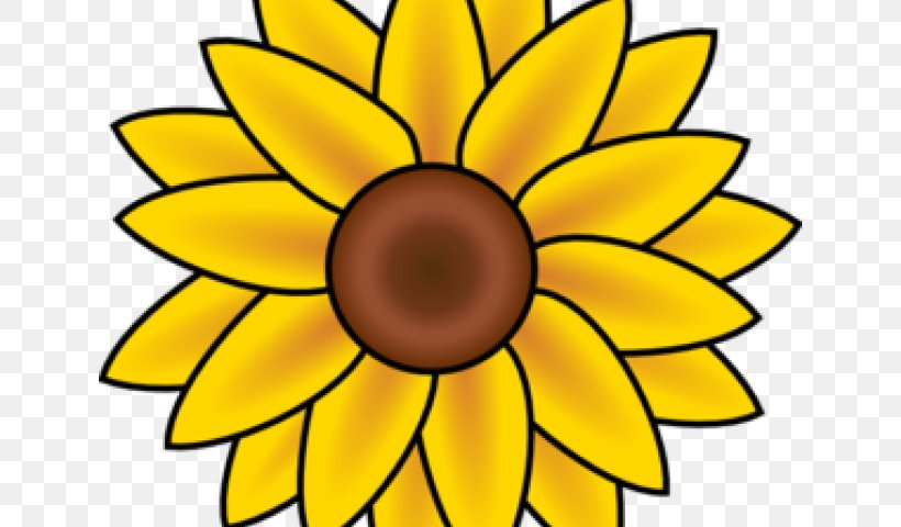 Clip Art Vector Graphics Common Sunflower Illustration Image, PNG, 640x480px, Common Sunflower, Cut Flowers, Drawing, Flower, Flowering Plant Download Free