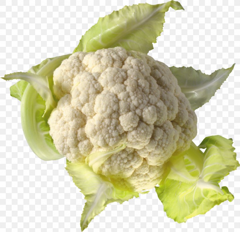 Cauliflower Leaf Vegetable Clip Art, PNG, 1600x1549px, Cauliflower, Brassica Oleracea, Broccoflower, Broccoli, Cabbage Download Free