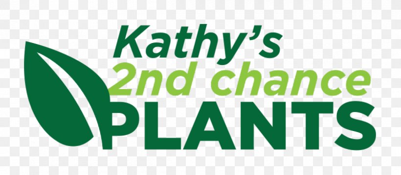 Kathy's Creations A Brand Of: Kathy's 2nd Chance Plants, LLC Résumé Business Plan Naperville, PNG, 1200x525px, Resume, Area, Bloomnation, Brand, Business Download Free