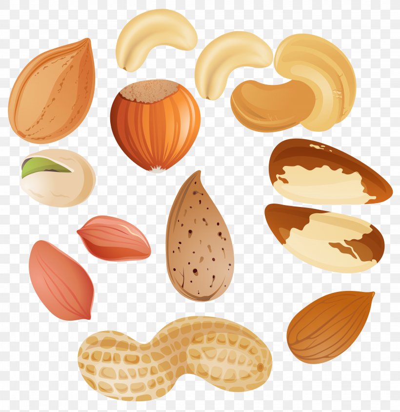 Nucule Tree Nut Allergy Clip Art, PNG, 5409x5572px, Nut, Acorn, Almond, Cashew, Clip Art Download Free