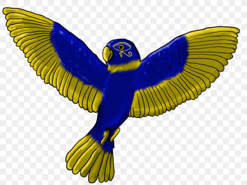 Macaw Parakeet Feather Beak Pet, PNG, 900x675px, Macaw, Beak, Bird, Common Pet Parakeet, Feather Download Free